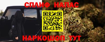 сатива Бузулук