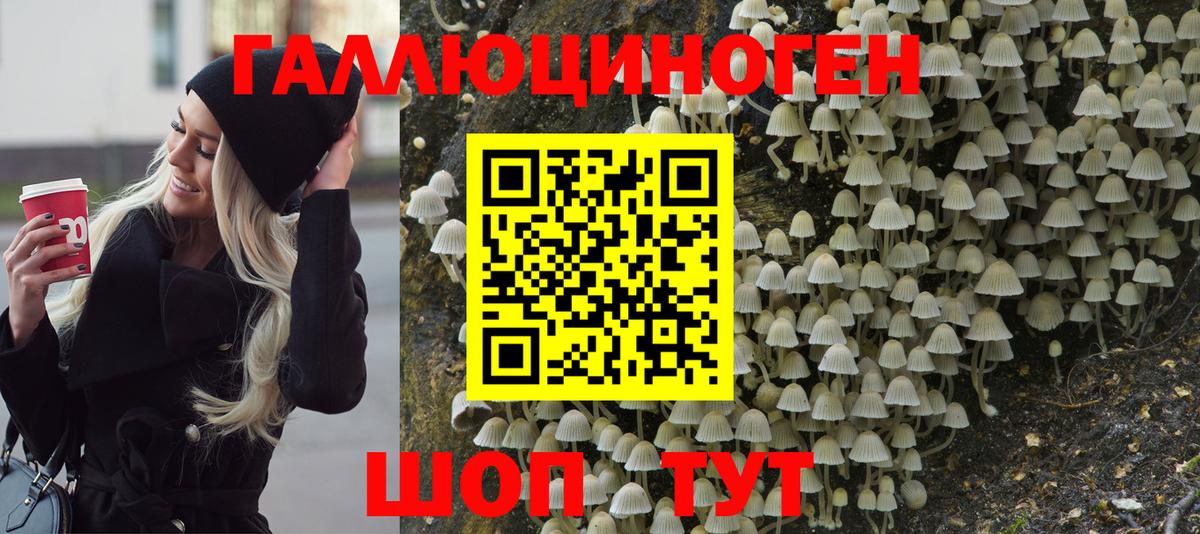Галлюциногенные грибы Psilocybe  Вход с VPN  Калининград 